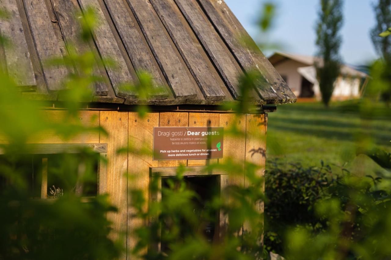 Glamping Kolpa Resort Gradac エクステリア 写真